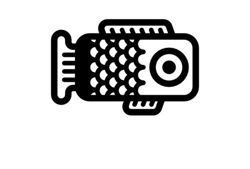 LoomyCase